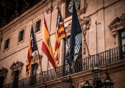 Banderas institucionales