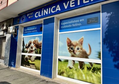 Vinilos impresos para exterior
